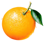 anti-cancer-fruit-orange