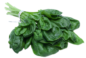 Spinach-food-to-prevent-cancer