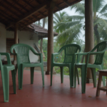 Karikku Net Worth: How a Kochi Web Series Became a Media Company